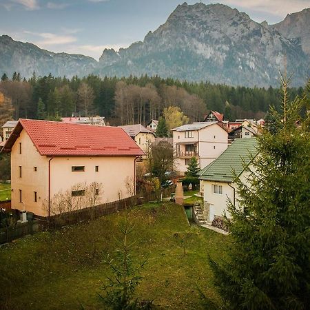 Hotel Casa Maia Buşteni Exteriér fotografie