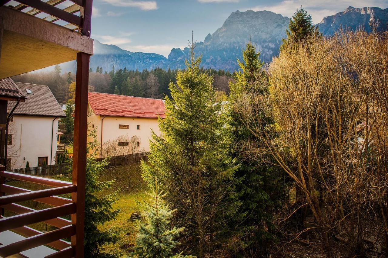 Hotel Casa Maia Buşteni Exteriér fotografie