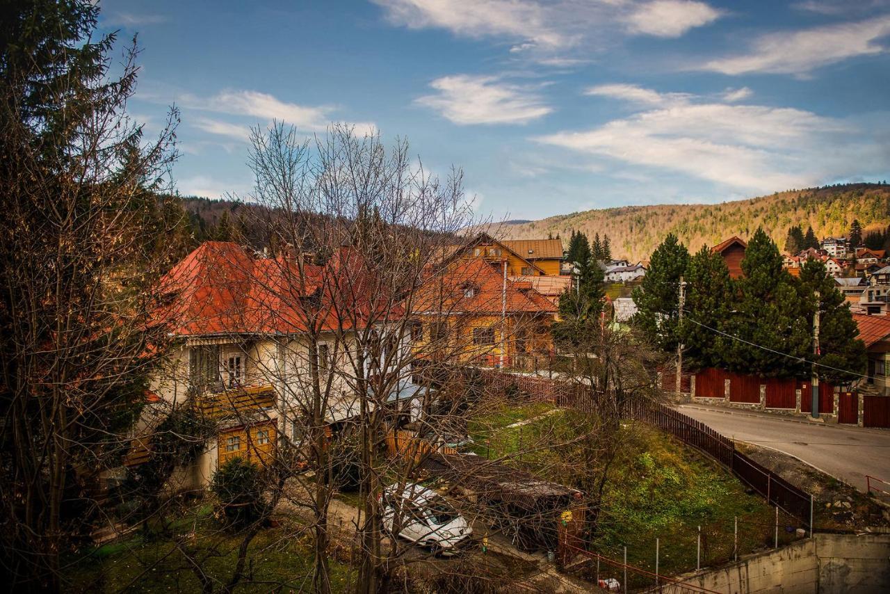 Hotel Casa Maia Buşteni Exteriér fotografie