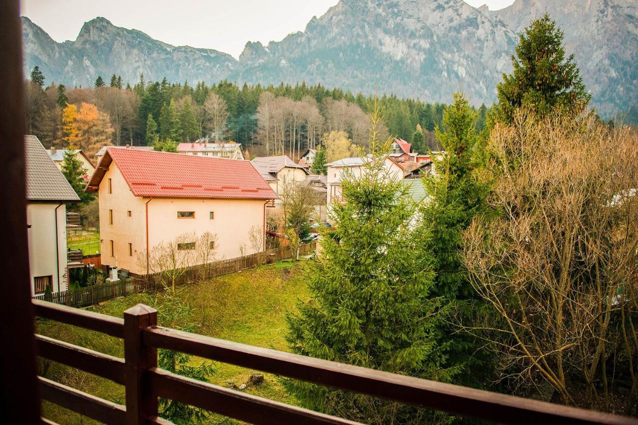 Hotel Casa Maia Buşteni Exteriér fotografie