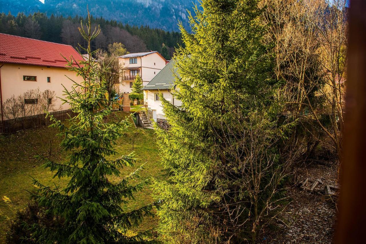 Hotel Casa Maia Buşteni Exteriér fotografie