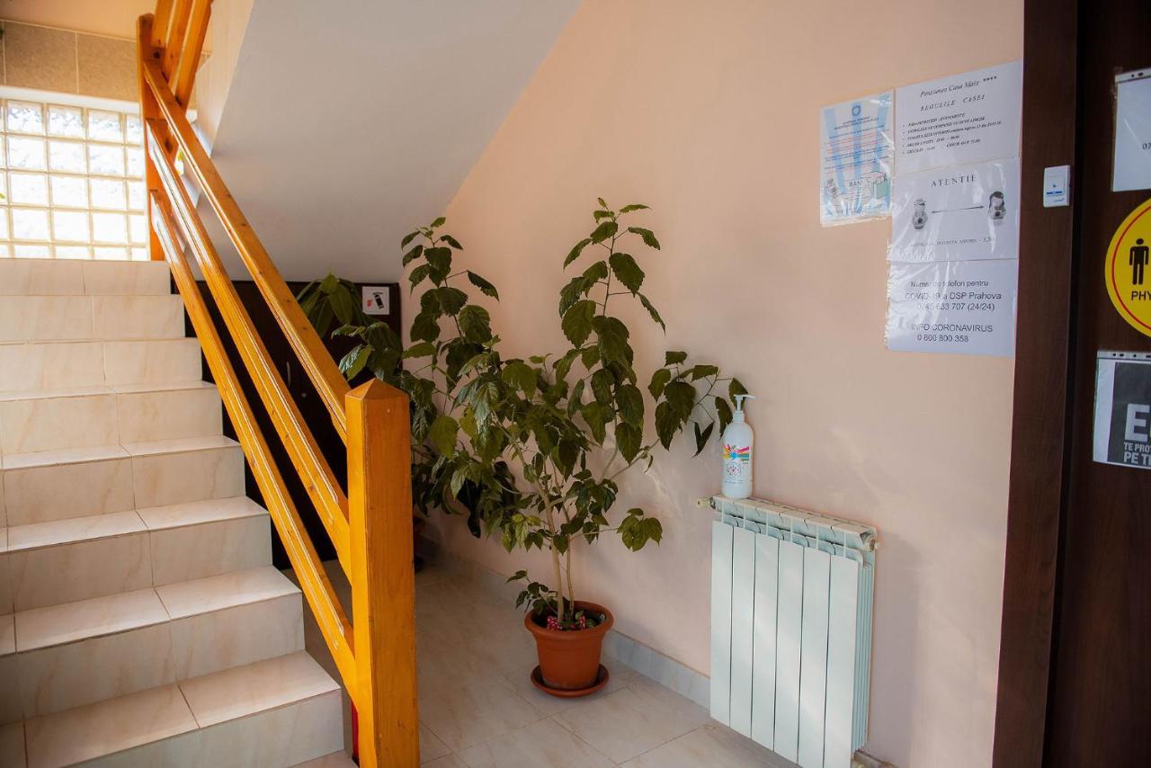 Hotel Casa Maia Buşteni Exteriér fotografie