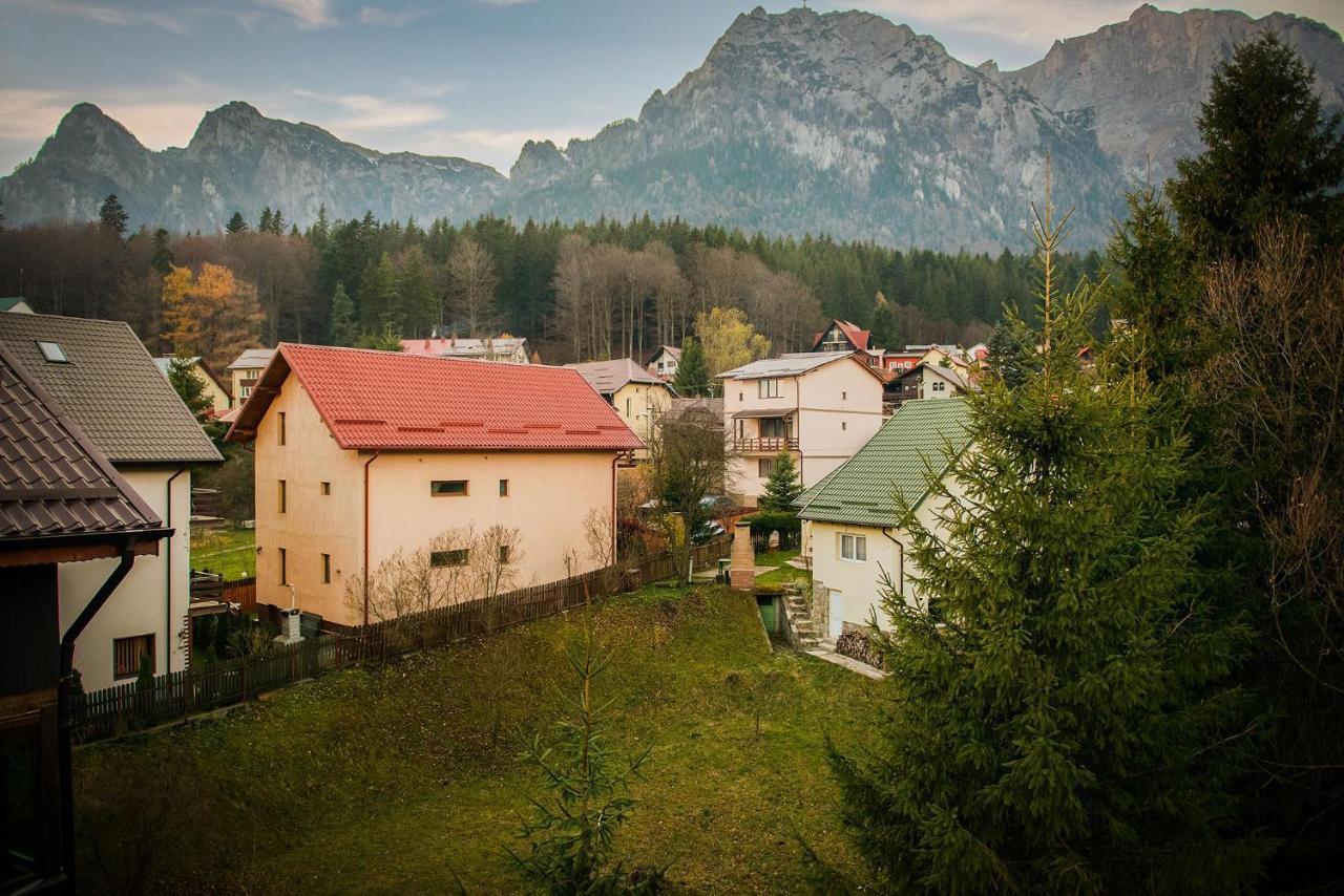 Hotel Casa Maia Buşteni Exteriér fotografie